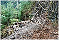 2008-1-25 am 09-57-18-230林道途中及路況.jpg